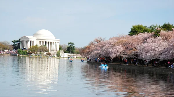 Jefferson Memorial in Washington DC at Cherry Blossom Festival, USA — Stock Photo, Image