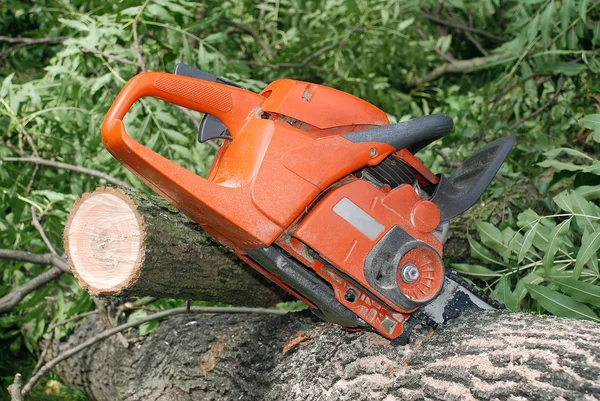 stock image Cutting the tree