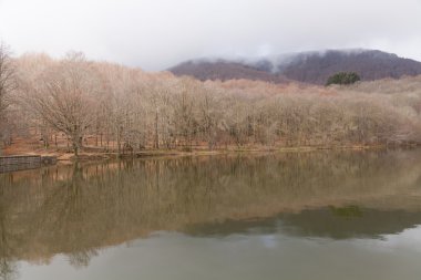 Montseny doğal park