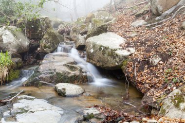 Montseny doğal park