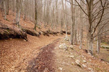 Montseny doğal park