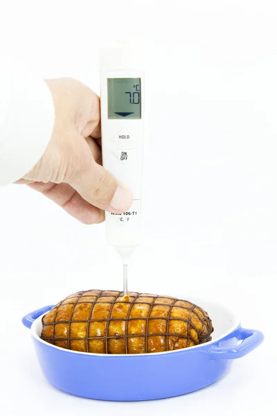 Gıda termometresi — Stok fotoğraf