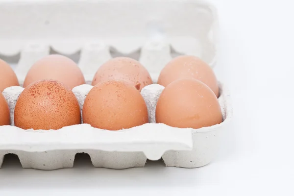 Fresh eggs — Stock Photo, Image