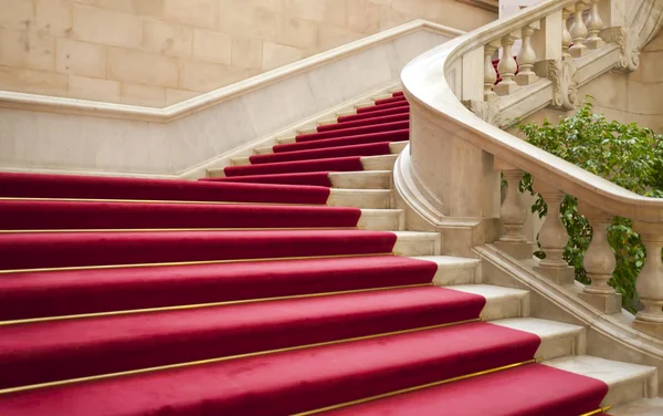 Escadas com tapete — Fotografia de Stock