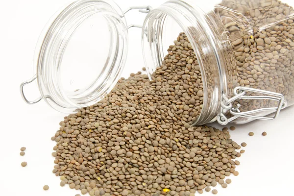 Stock image Raw lentils