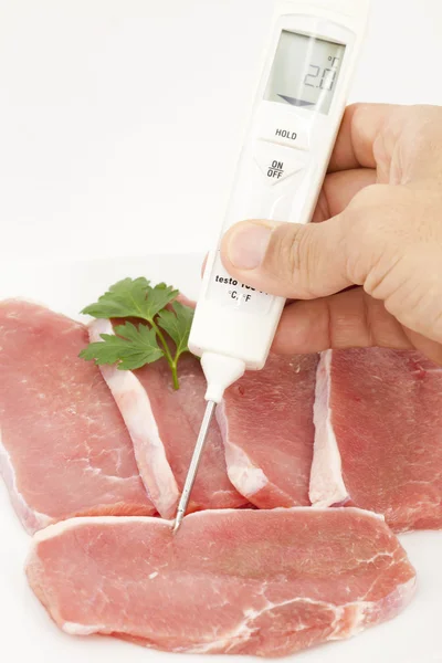 Food Thermometer — Stock Photo, Image