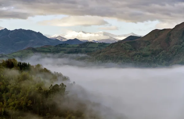 Asturias, İspanya dağlarında tipik peyzaj — Stok fotoğraf