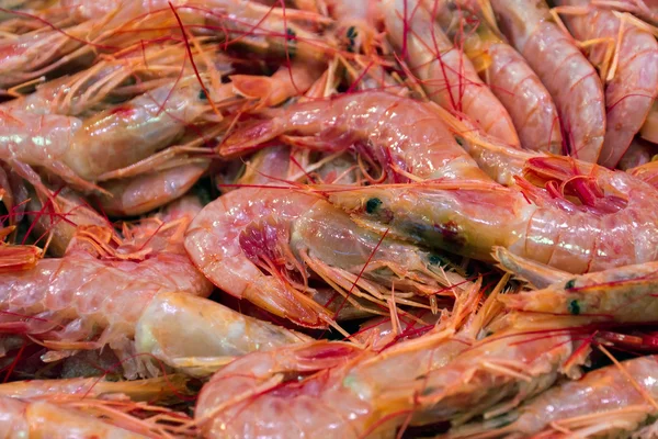 Gambas frescas — Foto de Stock