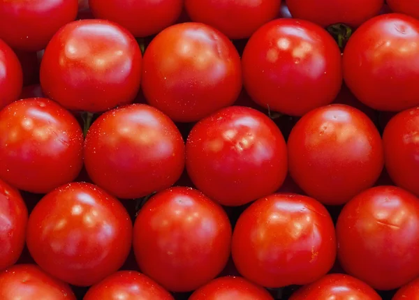 Stock image Many tomatoes.