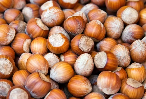 Pozadí ořechů — Stock fotografie