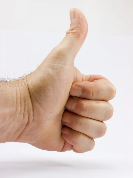 stock image Ok thumb dodo