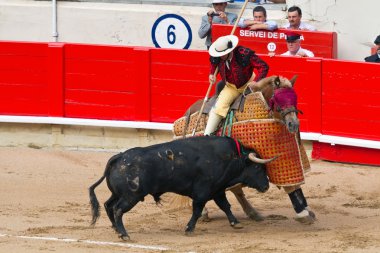 Picador Süvari boğa