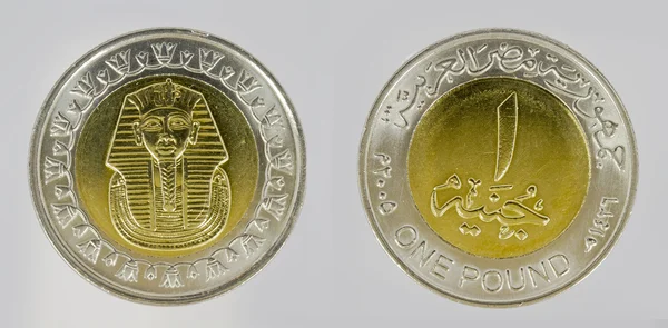 Egyptiska mynt — Stockfoto