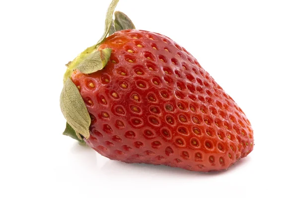 Single fresh red strawberry — Stock Photo, Image