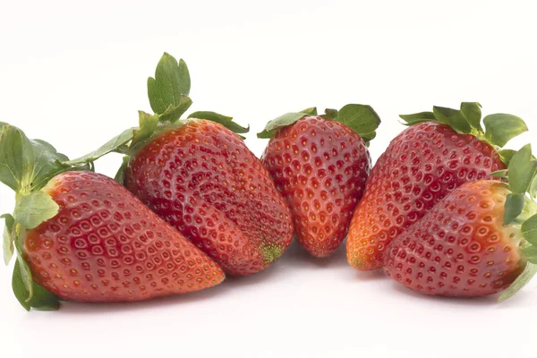 Strawberries group — Stock Photo, Image