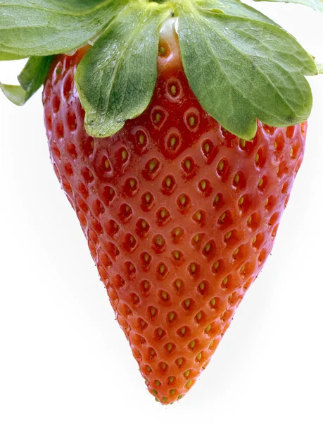 Single fresh red strawberry — Stock Photo, Image
