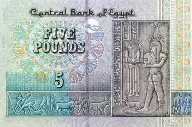 5 pound bill, Mısır