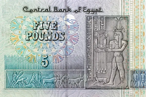 5 libras conta do Egito — Fotografia de Stock