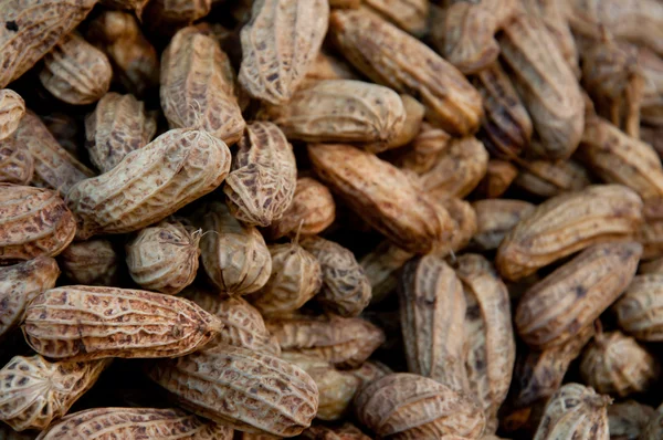 stock image Boiled thai bean