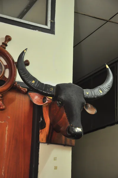 Ko horn dekoration på väggen — Stockfoto
