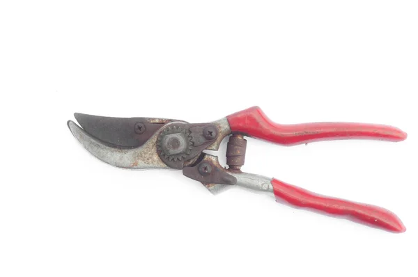 Gardening scissors on white background — Stock Photo, Image