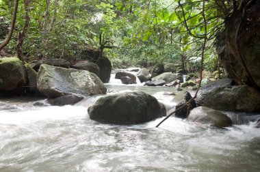 Tayland 'da Şelale