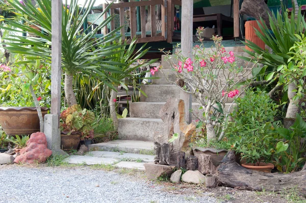 Jardín en casa —  Fotos de Stock