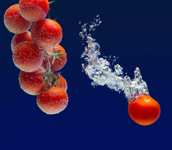 Tomates en agua —  Fotos de Stock