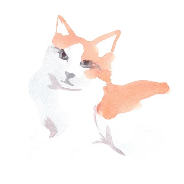 Akvarel plnokrevníka koček — Stock fotografie