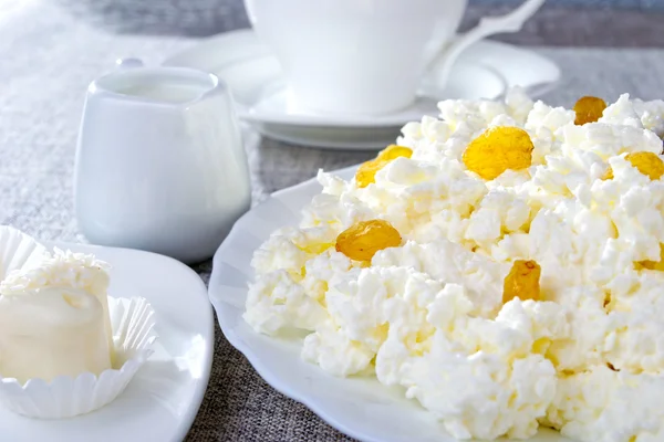 Cottage cheese on a white plate — Stock Photo, Image