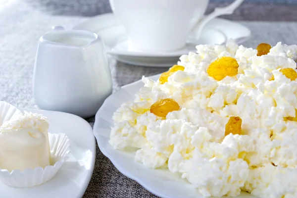 Queso de cabaña en un plato blanco — Foto de Stock