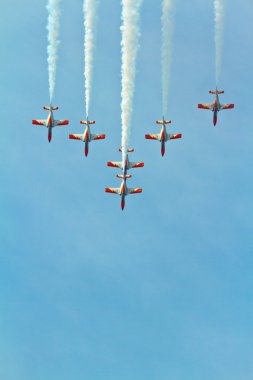 Patrulla Aguila
