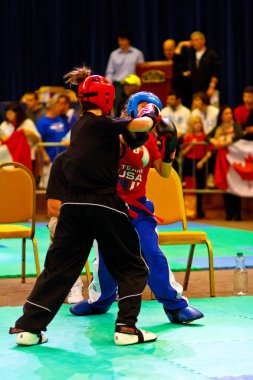 3 Dünya kickboks Şampiyonası 2011