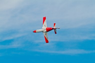 Patrulla Aguila