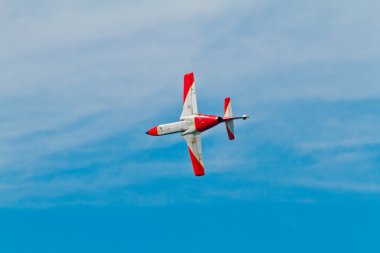 Patrulla Aguila