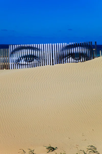 Yeux sur la dune — Photo