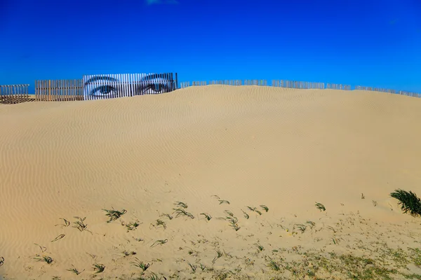 Ögon på sanddynen — Stockfoto