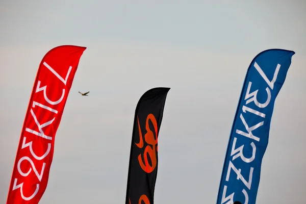 Flags of the 2nd Championship Impoxibol, 2011 — Stok fotoğraf