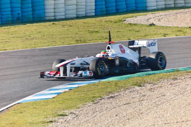 takımı sauber f1, sergio perez, 2011