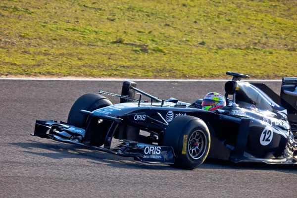 Equipo Williams F1, Pastor Maldonado, 2011 — Foto de Stock