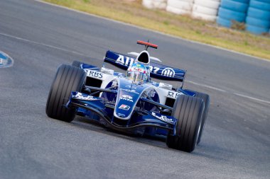 Williams f1, alex wurz, 2006 takım