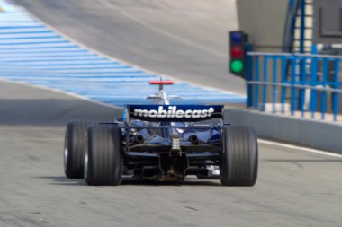 Williams f1, alex wurz, 2006 takım