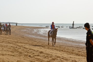 at yarışı sanlucar barrameda, İspanya, Ağustos 2011 tarihinde