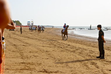 at yarışı sanlucar barrameda, İspanya, Ağustos 2011 tarihinde