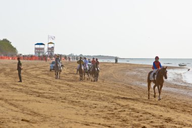 at yarışı sanlucar barrameda, İspanya, Ağustos 2011 tarihinde