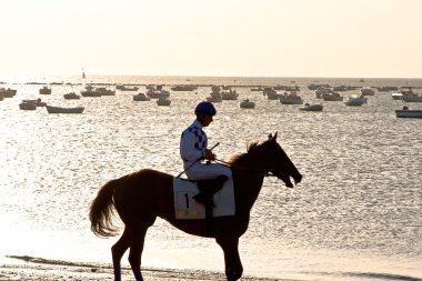 at yarışı sanlucar barrameda, İspanya, Ağustos 2011 tarihinde