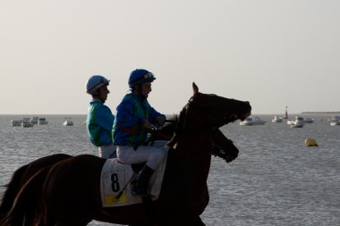 at yarışı sanlucar barrameda, İspanya, Ağustos 2011 tarihinde