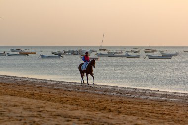 at yarışı sanlucar barrameda, İspanya, Ağustos 2011 tarihinde