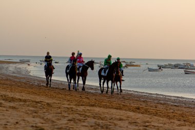 at yarışı sanlucar barrameda, İspanya, Ağustos 2011 tarihinde