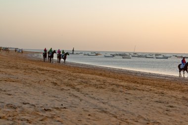 at yarışı sanlucar barrameda, İspanya, Ağustos 2011 tarihinde